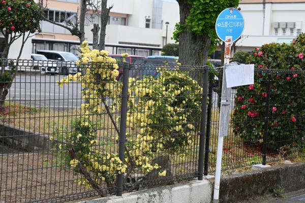 『』の画像