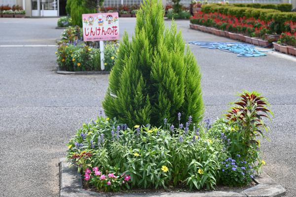 『6』の画像