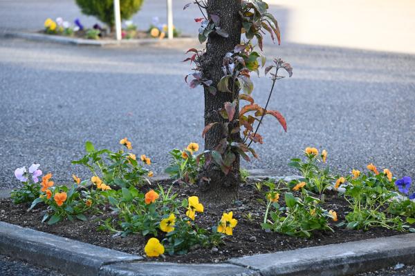 『5』の画像