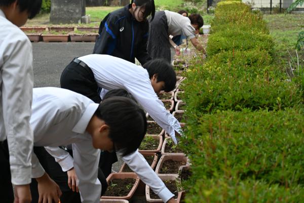 『1』の画像