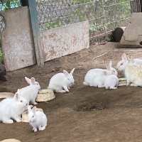 東小の生き物たちも元気です！