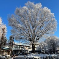 本年も宜しくお願いいたします