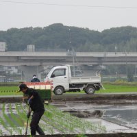 田んぼができあがりました！