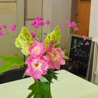 きれいなお花