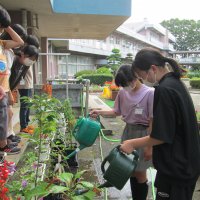 緑の少年団苗木を育てています