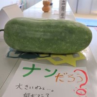 ナンだこれは？