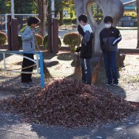 落ち葉掃きのボランティアありがとうございます。