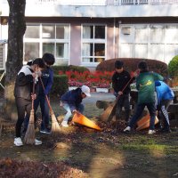 4年生朝の落ち葉掃きボランティア