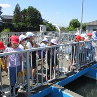 浄水場見学
